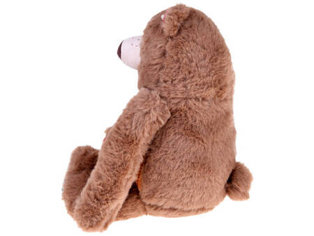 Adorable Teddy Bear mascot Plush bear 30 cm ZA4814