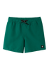 Swim shorts REIMA Somero Deeper Green