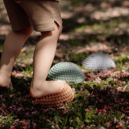 Ścieżka sensoryczna Find that Hippo - Zachód słoÅca