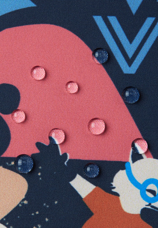 Kurtka przejściowa wodoodporna Reimatec Reima Hede