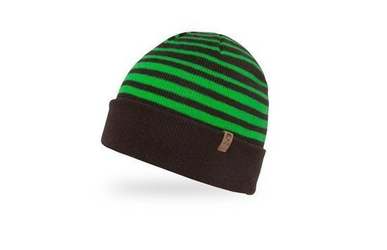 Czapka Sunday Afternoons Horizon Beanie Radiant Green Stripe