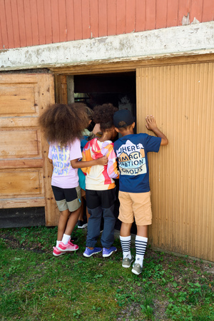 T-shirt REIMA Siirtyy