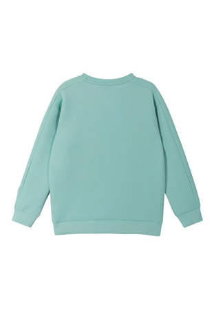 Sweatshirt REIMA Letkein Cool green