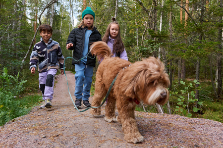 REIMA ReimaTec sneakers Enkkari